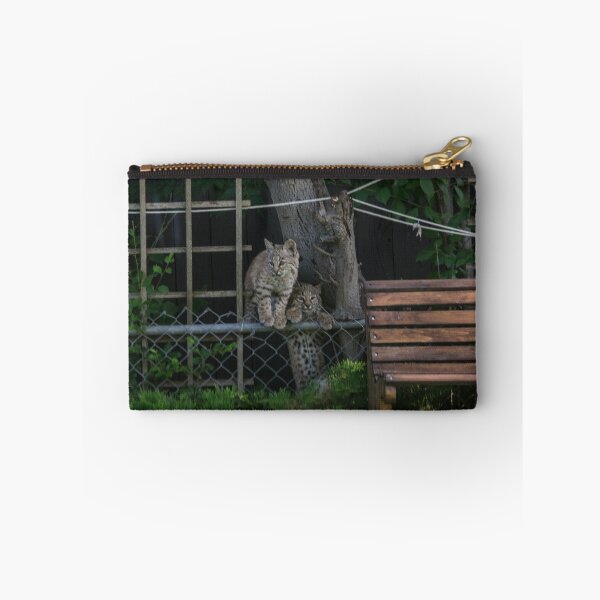 Item preview, Bobcat kittens climbing the fence designed and sold by CanadianWild418.