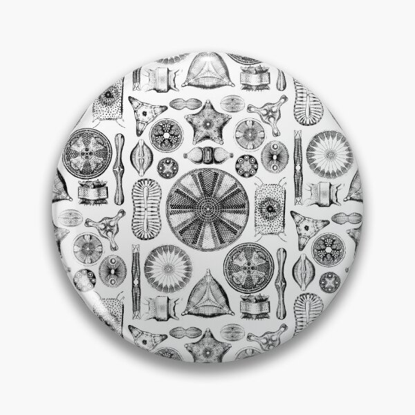 Item preview, Ernst Haeckel Diatoms - outline only designed and sold by aimeewilson.