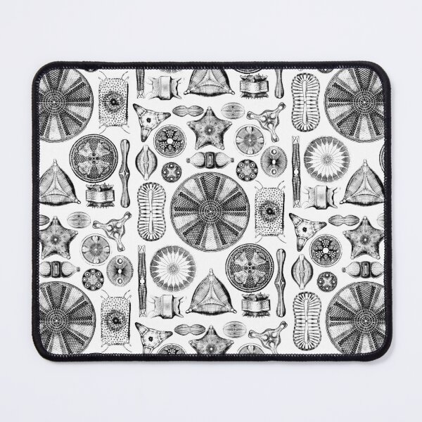 Item preview, Ernst Haeckel Diatoms - outline only designed and sold by aimeewilson.