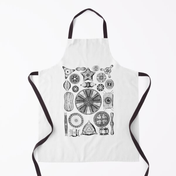 Item preview, Ernst Haeckel Diatoms - outline only designed and sold by aimeewilson.