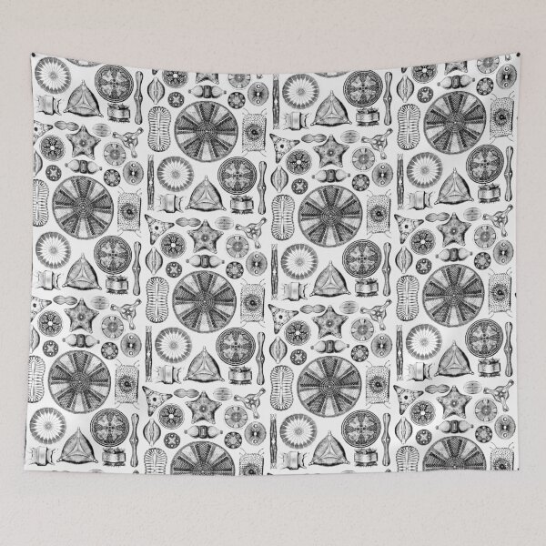 Item preview, Ernst Haeckel Diatoms - outline only designed and sold by aimeewilson.