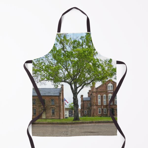 Item preview, Historic Shelby County Courthouse and Jail designed and sold by Catherine Sherman.