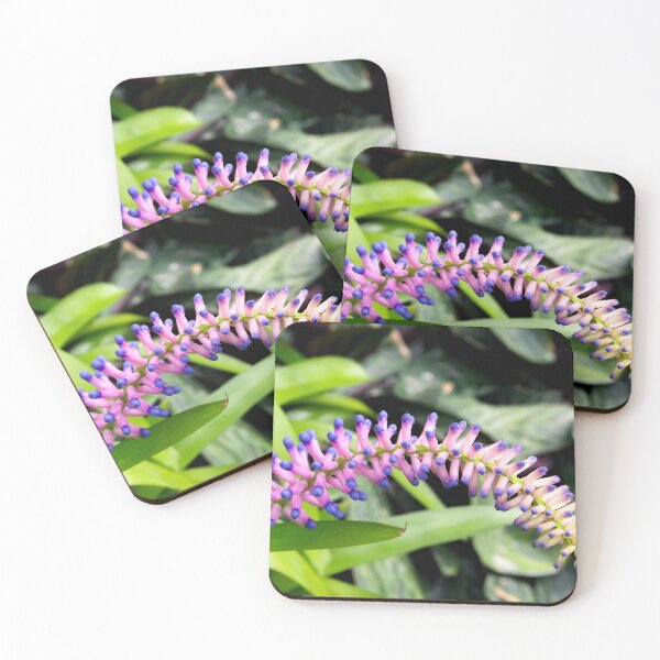 Item preview, Arched Buds designed and sold by TheKitchenator.