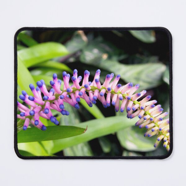Item preview, Arched Buds designed and sold by TheKitchenator.
