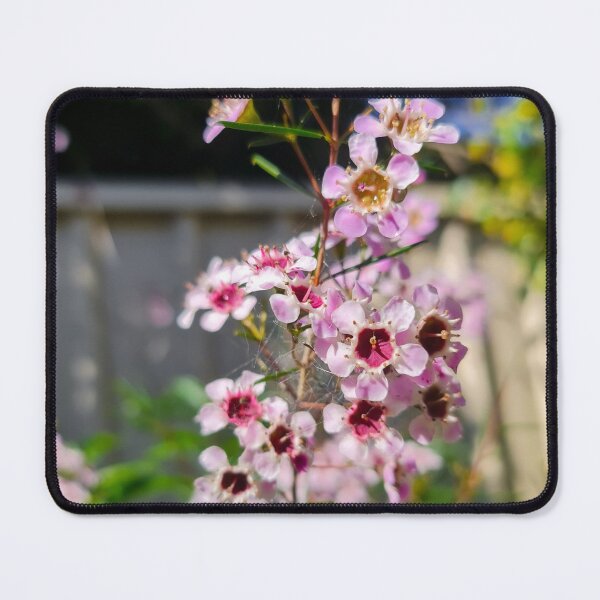 Item preview, Backyard Bliss designed and sold by TheKitchenator.