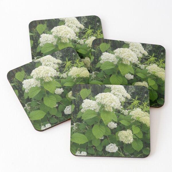 Item preview, Floral patterns designed and sold by Paulahyapi.