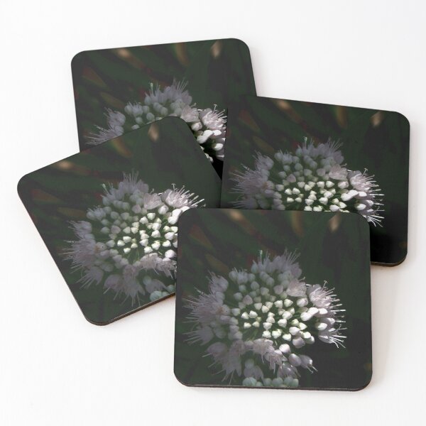 Item preview, Nodding Onion in Shadow designed and sold by gistinker.