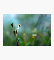 Bride & Groom Photographic Print