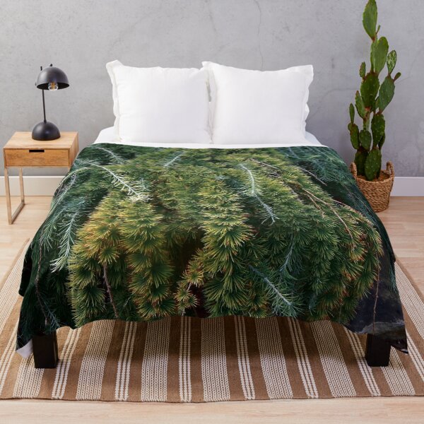 Item preview, Weeping Japanese Larch designed and sold by gistinker.