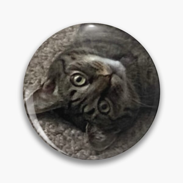 Item preview, Silly Tabby  designed and sold by Amanda1775.