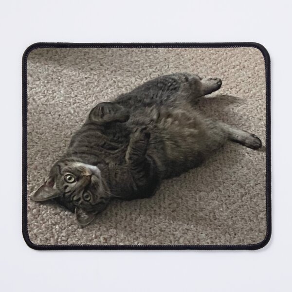Item preview, Silly Tabby designed and sold by Amanda1775.