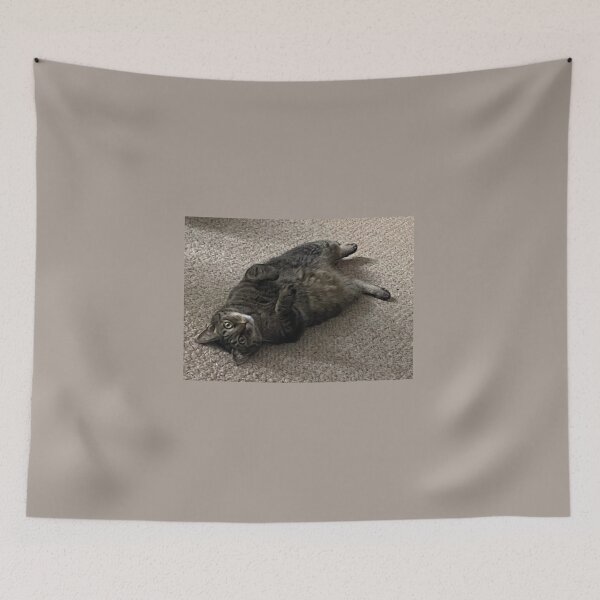 Item preview, Silly Tabby  designed and sold by Amanda1775.