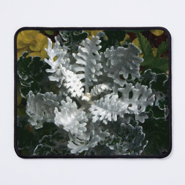 Item preview, Hoary Mugwort designed and sold by gistinker.