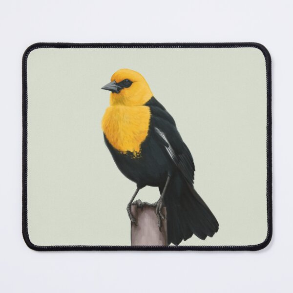Item preview, Yellow-headed Blackbird designed and sold by Wildlife Art by Holly.