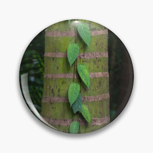 Item preview, Creeper and Tree, Cairns Botanic Gardens designed and sold by Kate Powick.