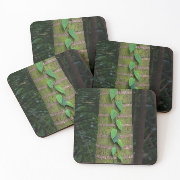 Item preview, Creeper and Tree, Cairns Botanic Gardens designed and sold by Kate Powick.