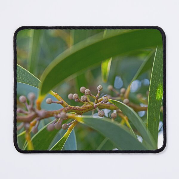 Item preview, Koa designed and sold by Keola Makaiau.