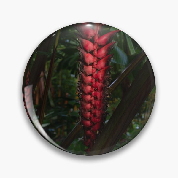 Item preview, Heliconia Dinosaur plant, Cairns Botanic Gardens designed and sold by Kate Powick.