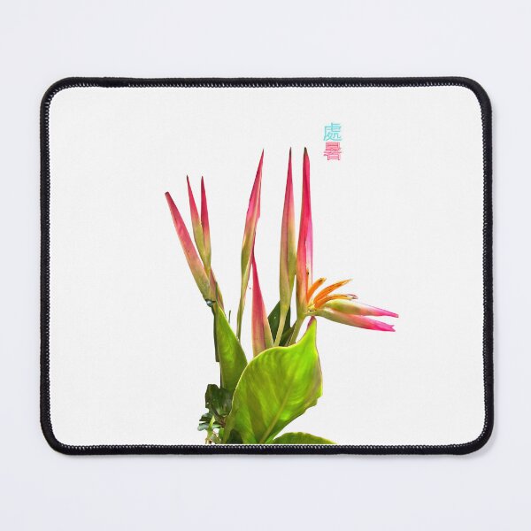 Item preview, Heliconia Psittacorum 鸚黃赫蕉 designed and sold by yeeshingcourt.