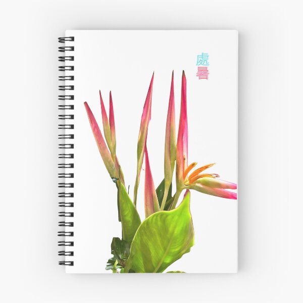 Item preview, Heliconia Psittacorum 鸚黃赫蕉 designed and sold by yeeshingcourt.