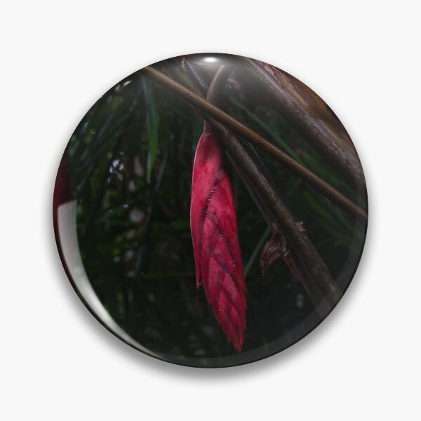 Item preview, Heliconia, Cairns Botanic Gardens designed and sold by Kate Powick.