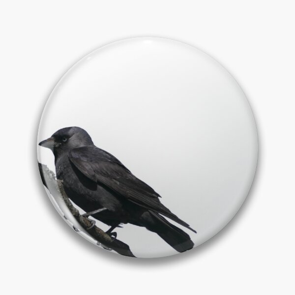 Item preview, jackdaw  designed and sold by kritterkewl.