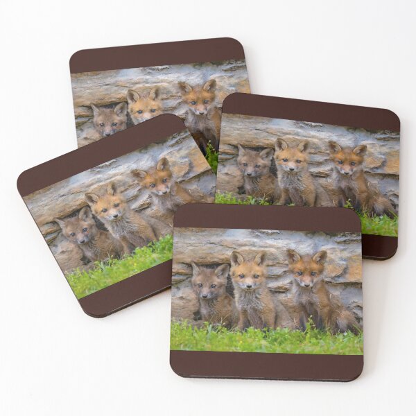 Item preview, Three Fox Kits   designed and sold by Shannon Emmel .