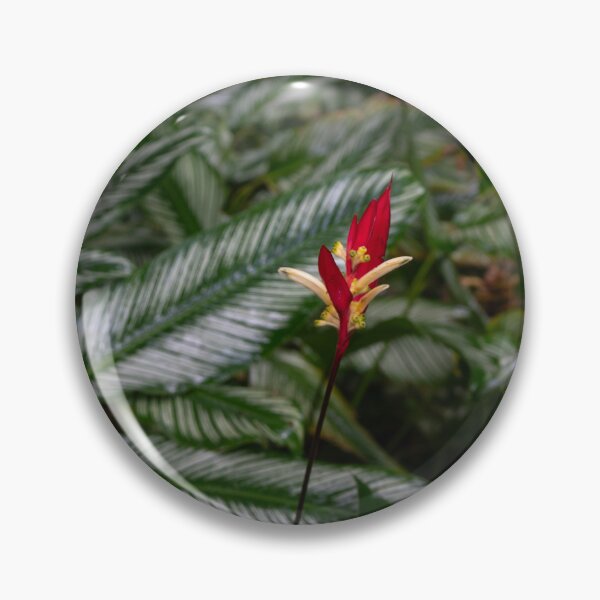 Item preview, Heliconia flower 2, Cairns  designed and sold by Kate Powick.