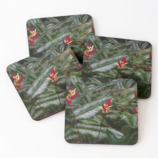Item preview, Heliconia flower 2, Cairns  designed and sold by Kate Powick.