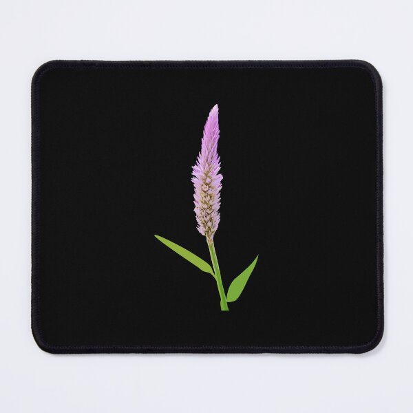 Item preview, pink vector flower of  Celosia,  woolflower or cockscomb. designed and sold by MiMee4451.