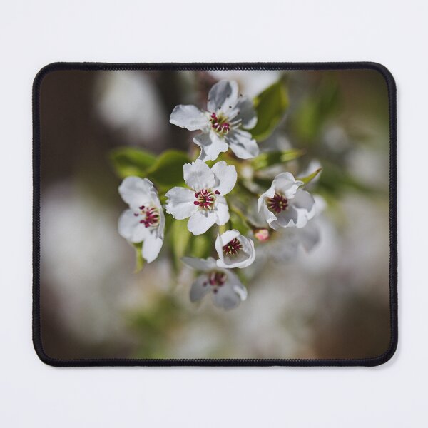 Item preview, Delicate Blossoms in the Springtime designed and sold by Joy Watson - Natural Light Photography .