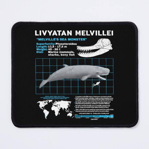 Item preview, Livyatan Melvillei Fact Sheet designed and sold by NicGrayGraphic.