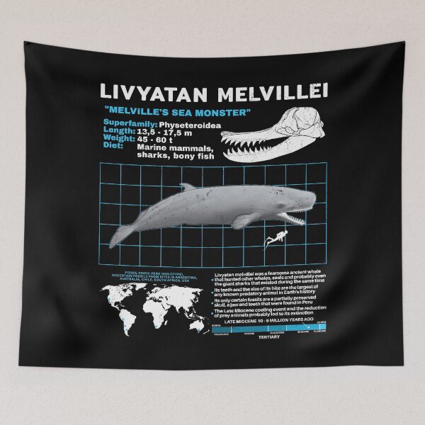 Item preview, Livyatan Melvillei Fact Sheet designed and sold by NicGrayGraphic.