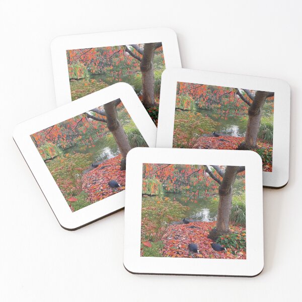Item preview, Coots in the Red Autumn Leaves, St James’s Park, London designed and sold by The Running London Photographer.