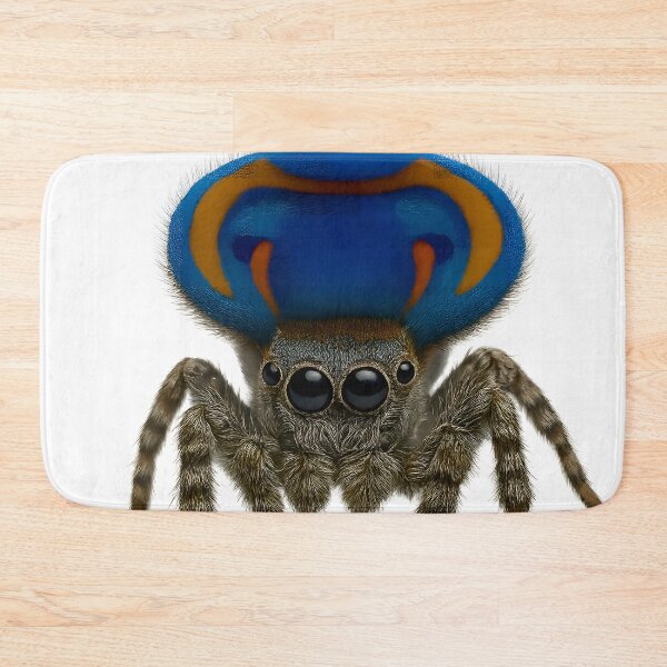 Item preview, A peacock spider with its abdomen upright designed and sold by BreakingWorse.