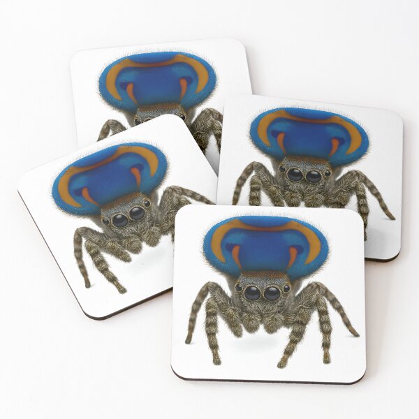Item preview, A peacock spider with its abdomen upright designed and sold by BreakingWorse.