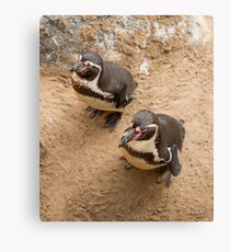 Penguin Couple Canvas Print