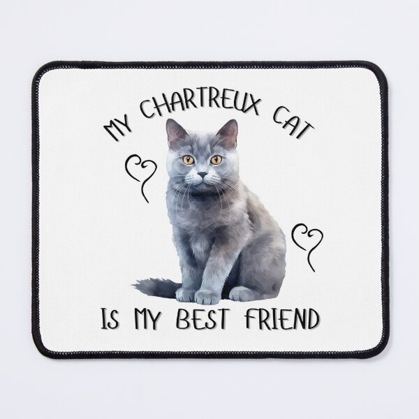 Item preview, My Chartreux Cat Is My Best Friend designed and sold by Viikis.