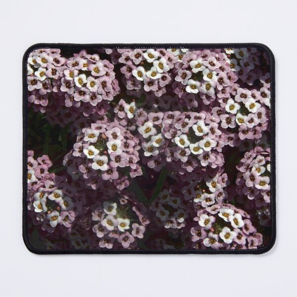 Item preview, Sweet Alyssum designed and sold by gistinker.