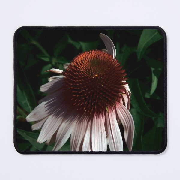 Item preview, Coneflower designed and sold by gistinker.