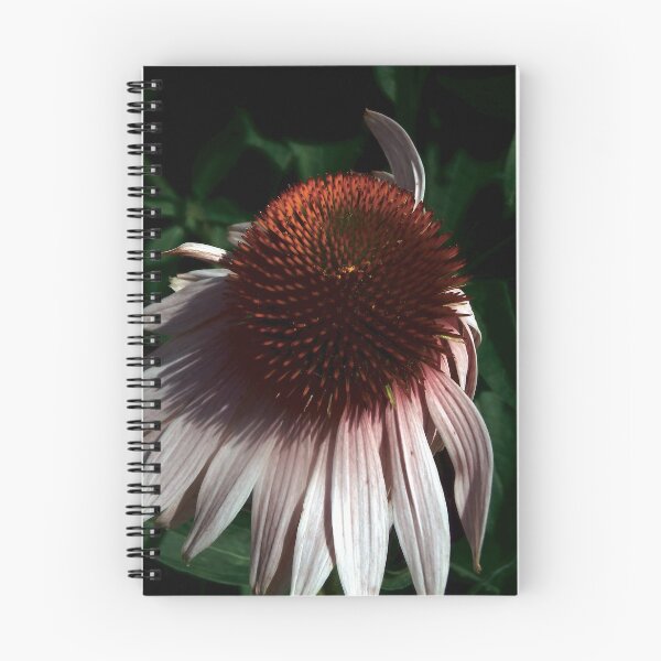 Item preview, Coneflower designed and sold by gistinker.