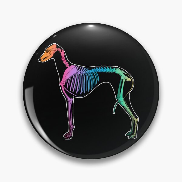 Item preview, Azawakh Skeleton- Rainbow  designed and sold by Spinyflowerart.