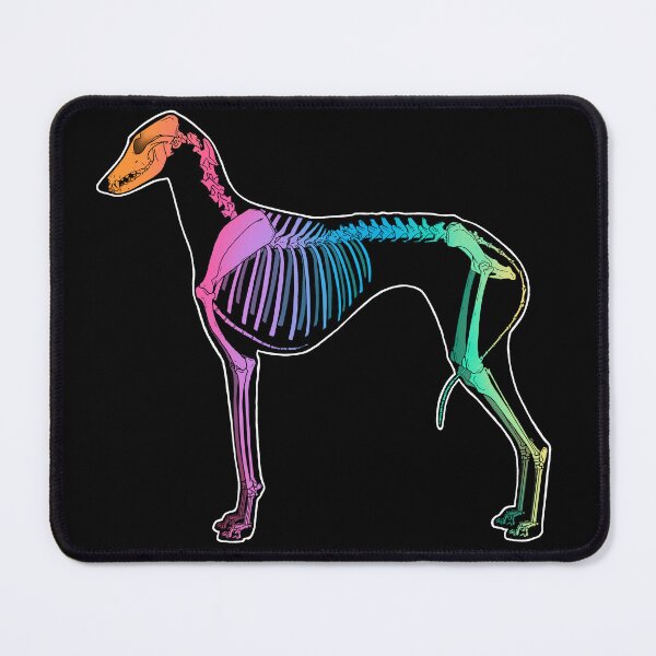 Item preview, Azawakh Skeleton- Rainbow designed and sold by Spinyflowerart.