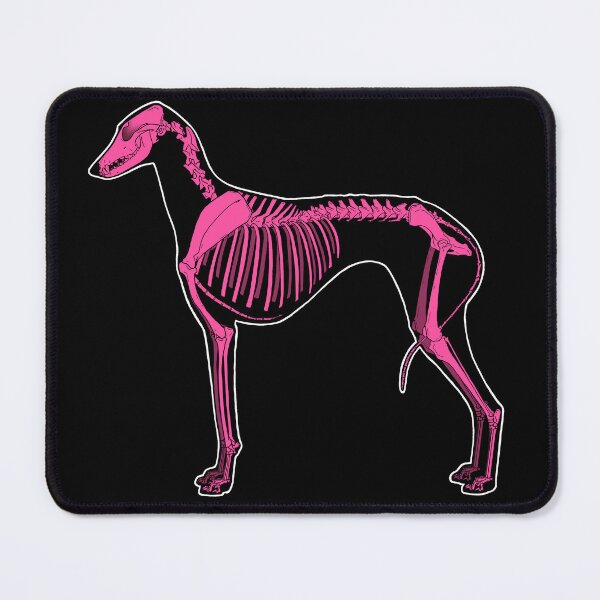 Item preview, Azawakh Skeleton- pink! designed and sold by Spinyflowerart.