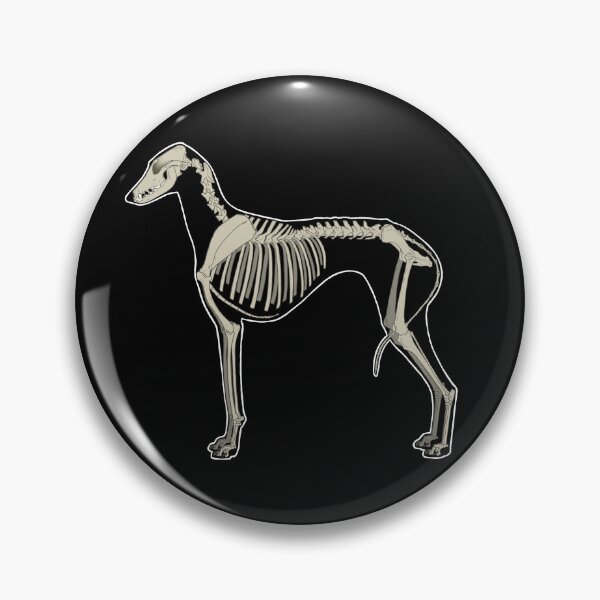 Item preview, Azawakh Skeleton designed and sold by Spinyflowerart.