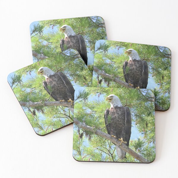 Item preview, Bald Eagle smailing designed and sold by Glennphotos.