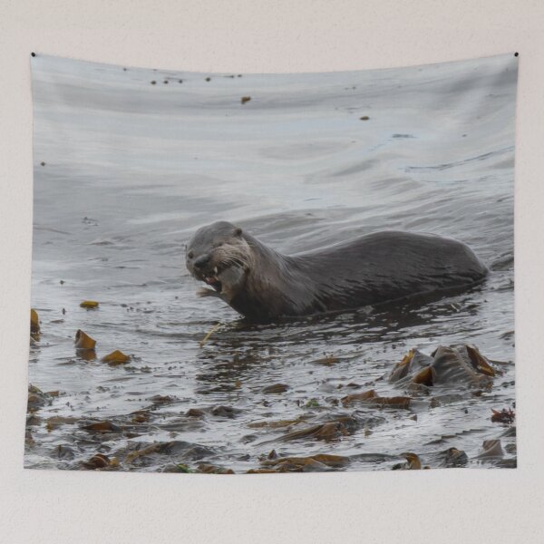 Artikelvorschau, Lustiges Gesicht - Otter frisst einen Fisch entworfen und verkauft von TinyDinoDesigns.