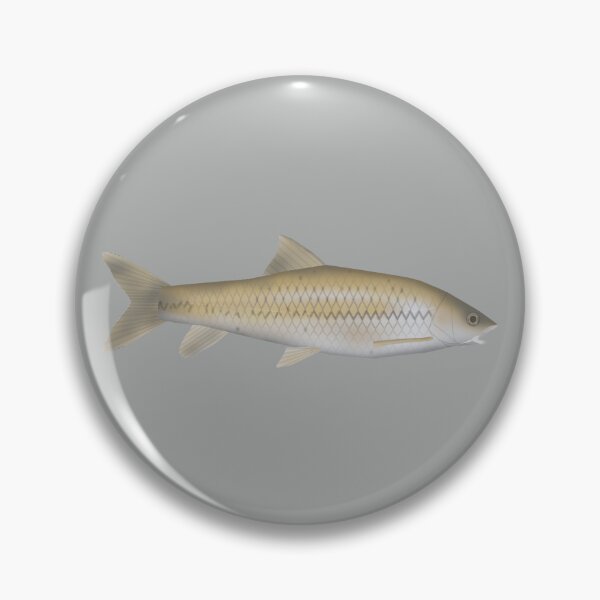 Item preview, Dark Mahseer designed and sold by fishfolkart.