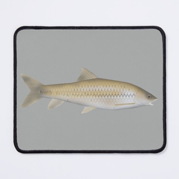 Item preview, Dark Mahseer designed and sold by fishfolkart.