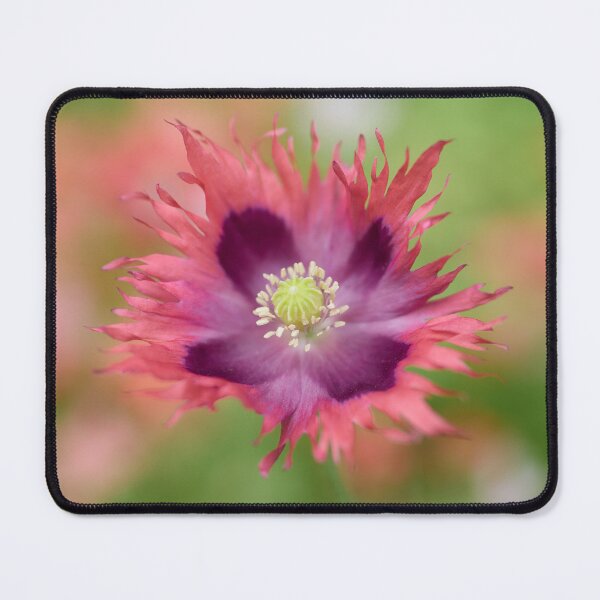 Item preview, Up close. Peony poppy designed and sold by Jouko Lehto Photography.